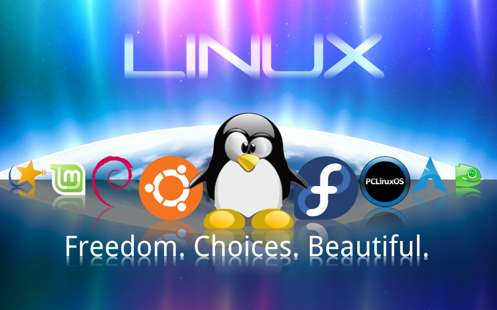 Fakta dan Sistem Operasi Linux yang Sering Digunakan